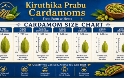 Cardamom Size Chart